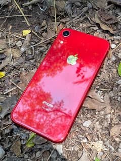 iPhone XR 64gb 10/9