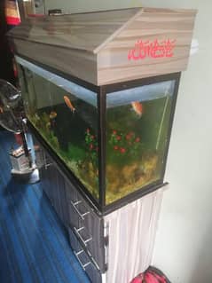 Size: 4x2
Condition:good
All accessories and fishes. contact03107991108