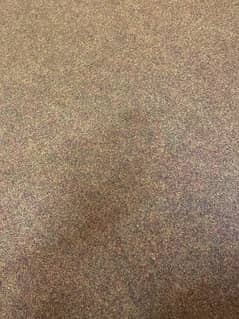 whole house totally new carpeting for sale