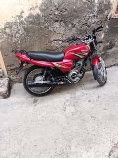 Yamaha 125z 2019 genuine condition