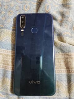 vivo