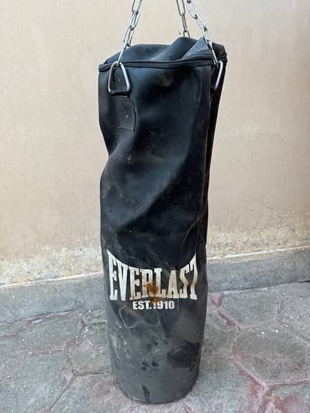 Boxing/Punching Bag 2