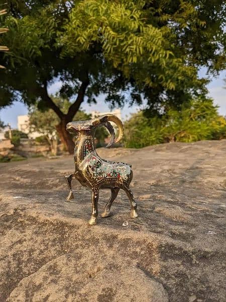 beautiful brass markhor 1