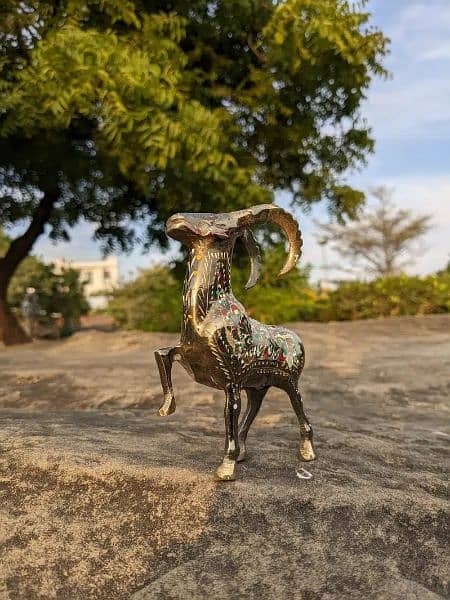 beautiful brass markhor 2