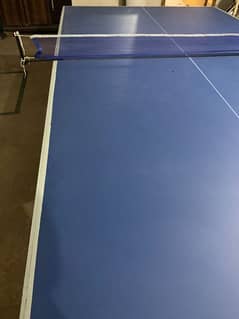 Custom made Table Tennis Table