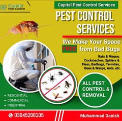Termite Control | Dengue control | Fumigation | Pest control service