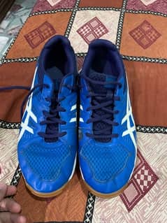 ASICS  graper shoes