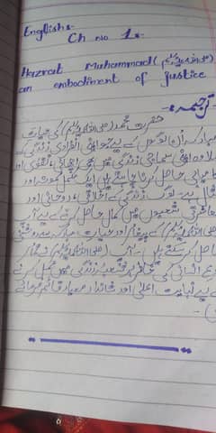 Professional urdu and English Assignment work in low cost