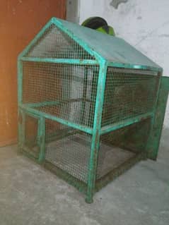 cage for sale hen and parats