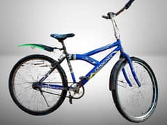 Long Handle cycle zbrdast condition 03057983096