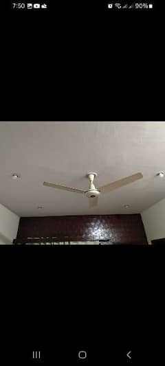 56 inches cieling fan