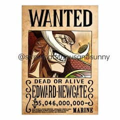 Wanted posters for One piece custom Characters