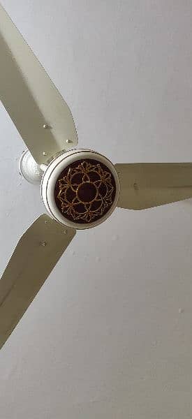 fan for sale ac/dc 1