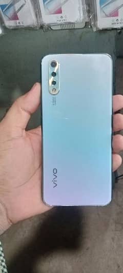 vivo