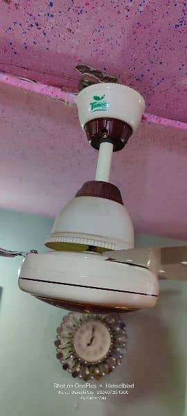 taimur 30 wat inverter fan 2