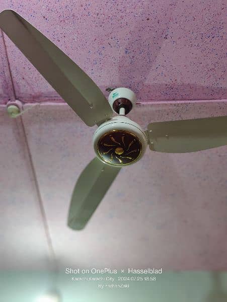 taimur 30 wat inverter fan 4