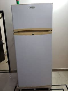 kelvinator fridge
