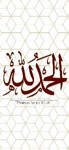 Syed Ahmad Mujtaba