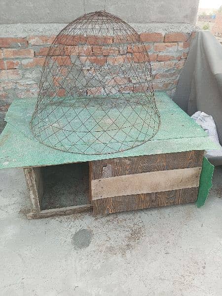 Iran Tokra and Wood and Fiber Cage 3