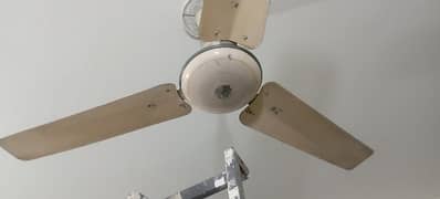 Ceiling Fans / 1 ceiling fan