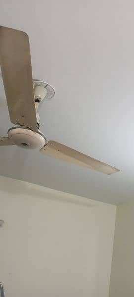 Ceiling Fans / 1 ceiling fan 1