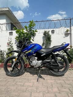 ybr 125g