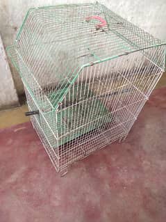 cage For Sale