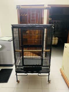 Grey Parrot Cage