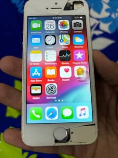 iphone 5s 16 gb pta approved