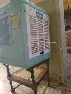 irani cooler absal company blour cooler