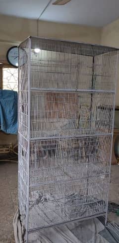 cage birds