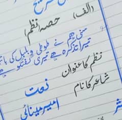 I can write urdu assignment