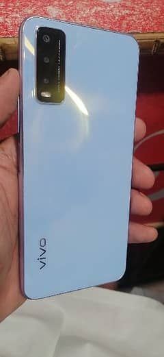 vivo