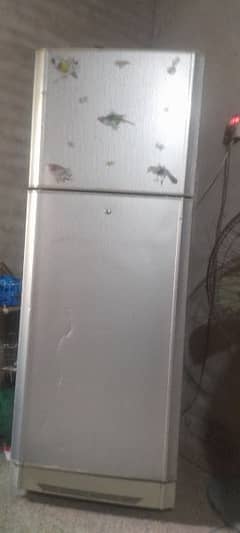 PEL fridge Medium size