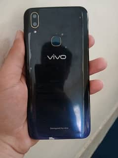 vivo