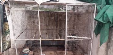 murghio ka Cage for sell