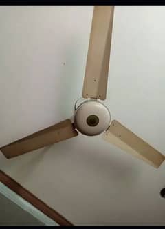 General fan 56 inch