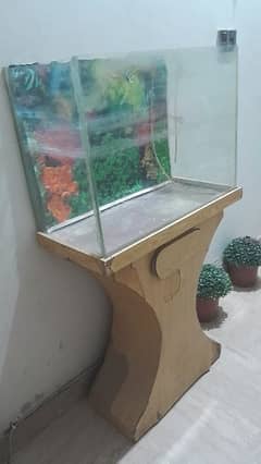 Fish aquarium
