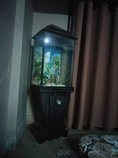 Aquarium