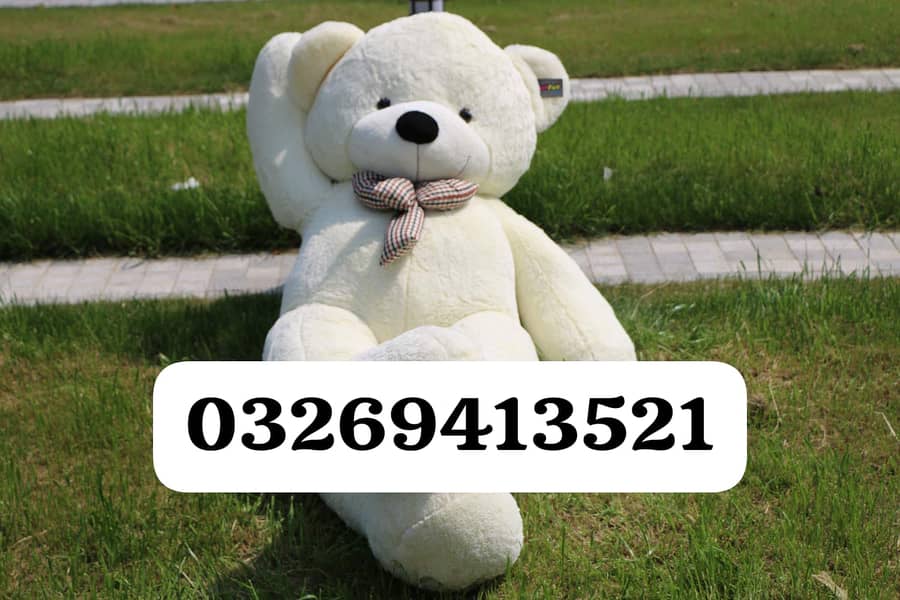 Teddy Bear, Gift Delivery, Huge Size, Huggable Teddy Bear 03269413521 3