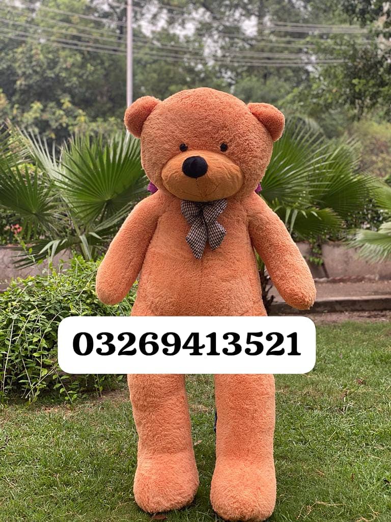 Teddy Bear, Gift Delivery, Huge Size, Huggable Teddy Bear 03269413521 5