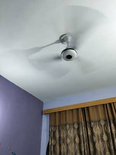 four ceiling fan for sale