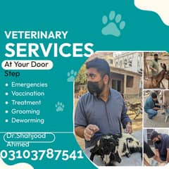 veterinary services at your doorstep