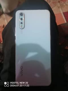 vivo