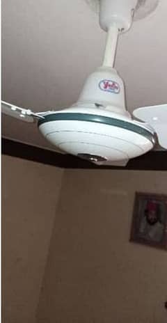 celling fan