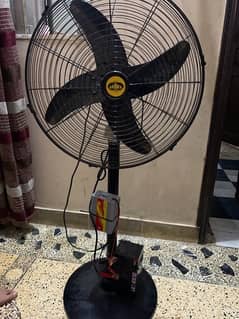 fan