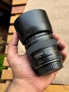 canon 85mm 1.8  All oka