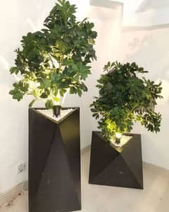 Diamond shaped plants planter