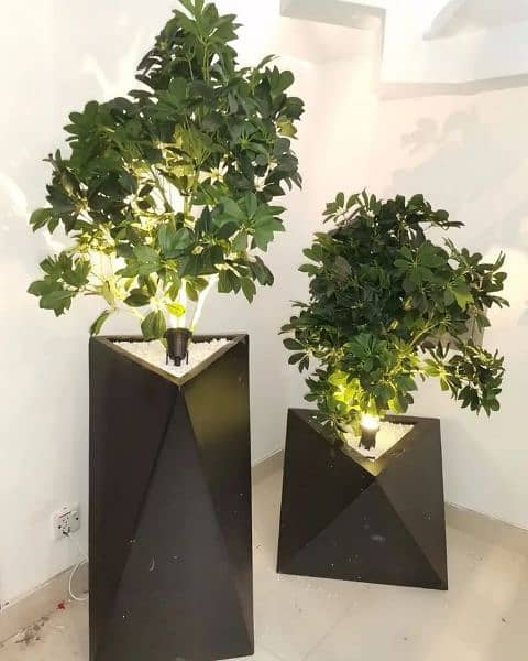 Diamond shaped plants planter 0