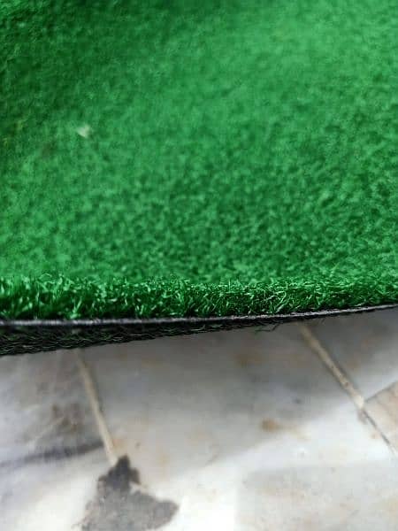 artificial grass 3